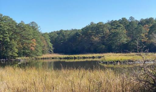 Photo #2 of lot 2 TERRAPIN STATION RD, BELLE HAVEN, VA 3.1 acres