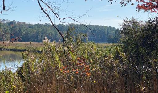 Photo #3 of lot 2 TERRAPIN STATION RD, BELLE HAVEN, VA 3.1 acres