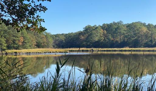 Photo #4 of lot 2 TERRAPIN STATION RD, BELLE HAVEN, VA 3.1 acres