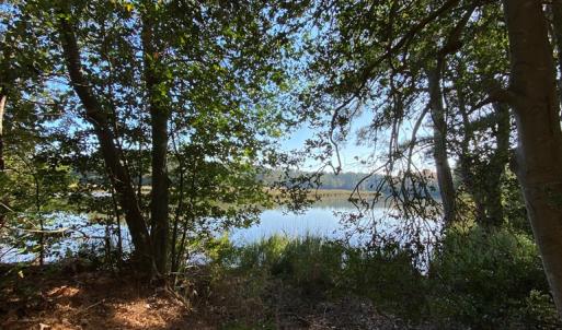 Photo #5 of lot 2 TERRAPIN STATION RD, BELLE HAVEN, VA 3.1 acres