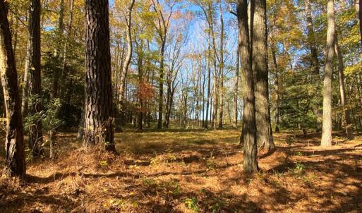 Photo #6 of lot 2 TERRAPIN STATION RD, BELLE HAVEN, VA 3.1 acres