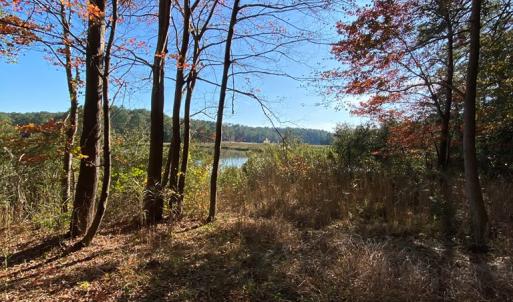 Photo #7 of lot 2 TERRAPIN STATION RD, BELLE HAVEN, VA 3.1 acres