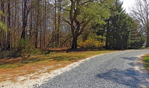 road leading to homesite
