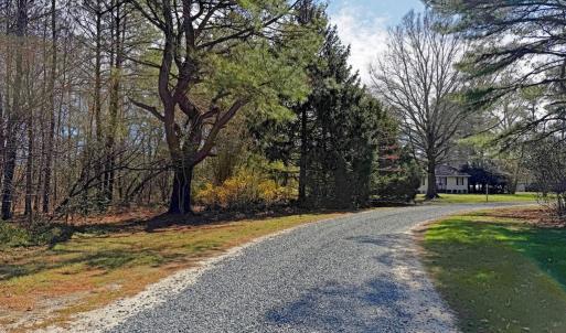 road leading to homesite