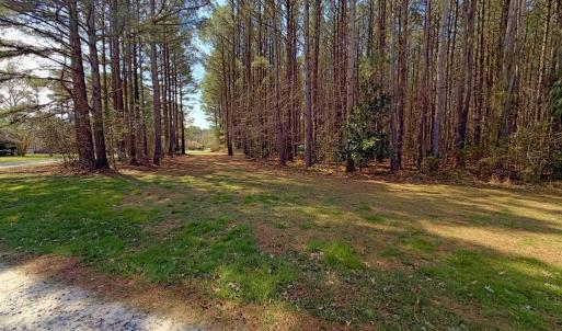 directly across road from homesite