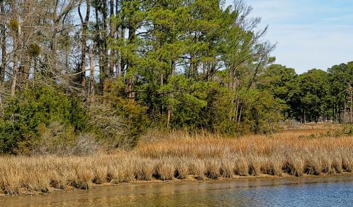 view from next door to homesite at water