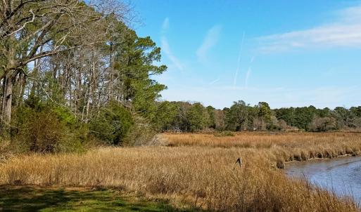 view from next door to lot at water