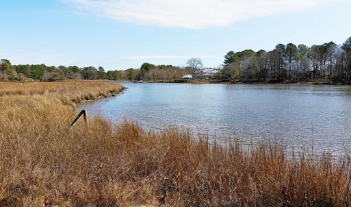 Photo #5 of Tract B TAYLOR CREEK DR, PUNGOTEAGUE, VA 5.2 acres