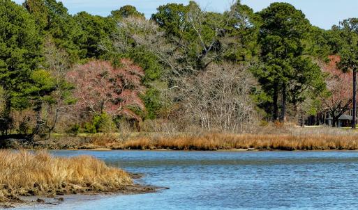 view from next door to lot at water
