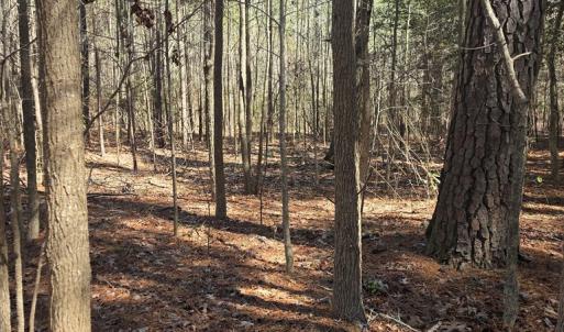 Photo #2 of HOLLY COVE RD, ONANCOCK, VA 3.4 acres