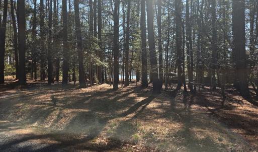 View 1 Across the Street