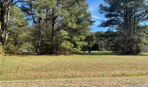 Photo #2 of Lot 302 UNDERWAY RD, GREENBACKVILLE, VA 9,321.0 acres