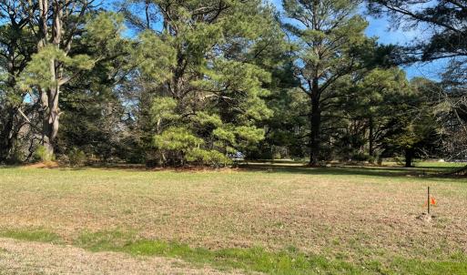 Photo #3 of Lot 302 UNDERWAY RD, GREENBACKVILLE, VA 9,321.0 acres