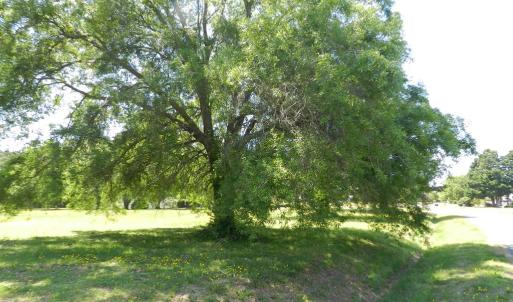 Photo #25 of Lot 45 ARLINGTON CHASE RD, CAPE CHARLES, VA 1.5 acres