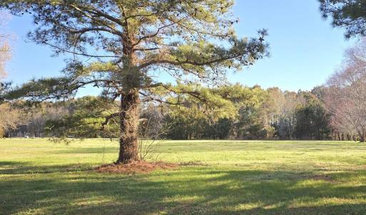 Photo #4 of Lot 45 ARLINGTON CHASE RD, CAPE CHARLES, VA 1.5 acres