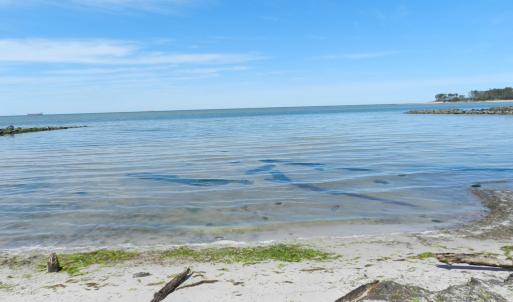 Photo #8 of Lot 45 ARLINGTON CHASE RD, CAPE CHARLES, VA 1.5 acres