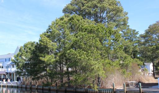 Photo #2 of 1213 SALTY WAY, GREENBACKVILLE, VA 84.0 acres