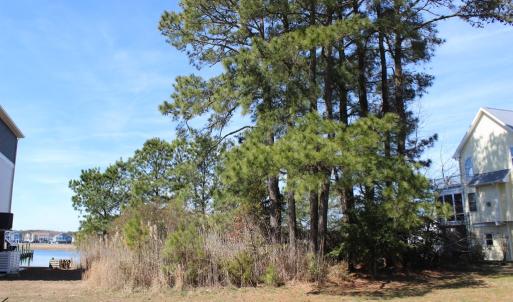 Photo #13 of 1213 SALTY WAY, GREENBACKVILLE, VA 84.0 acres
