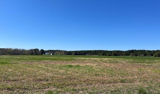Photo #3 of WILSONIA DR, MACHIPONGO, VA 5.0 acres
