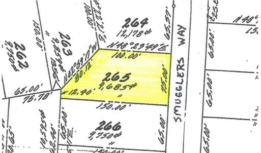 Photo #3 of 265 SMUGGLERS WAY, GREENBACKVILLE, VA 75.0 acres