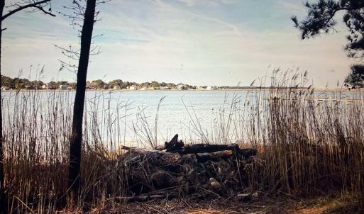 Photo #11 of 1 WOODLAND DR, CHINCOTEAGUE, VA 0.7 acres