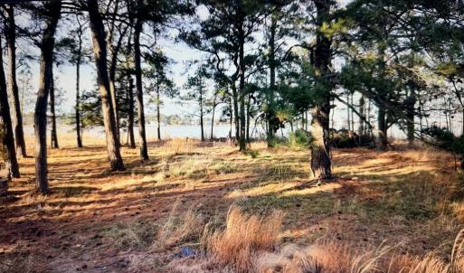 Photo #2 of 1 WOODLAND DR, CHINCOTEAGUE, VA 0.7 acres
