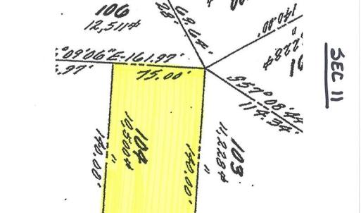 Photo #3 of 104 CUSTOM DR, GREENBACKVILLE, VA 75.0 acres