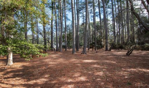 Photo #7 of Lot 1136 SCIMITAR WAY, GREENBACKVILLE, VA 11.0 acres