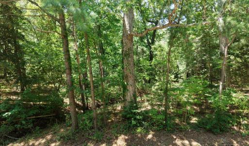 Photo #11 of LOT 3A HARBOUR LN, EASTVILLE, VA 1.6 acres