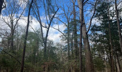 Photo #4 of LOT 3A HARBOUR LN, EASTVILLE, VA 1.6 acres