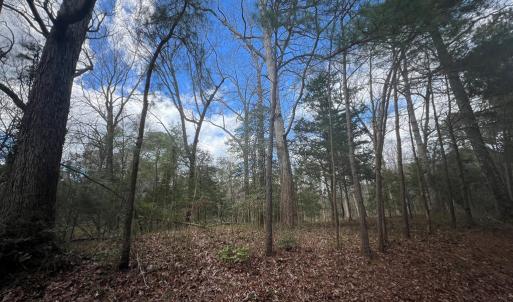 Photo #5 of LOT 3A HARBOUR LN, EASTVILLE, VA 1.6 acres