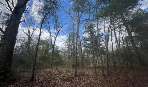 Photo #7 of LOT 3A HARBOUR LN, EASTVILLE, VA 1.6 acres