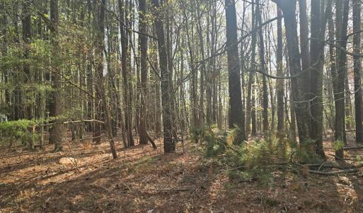 Photo #3 of Lot #2 PINE MEADOWS WAY, EXMORE, VA 1.2 acres