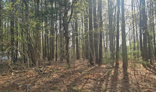 Photo #4 of Lot #2 PINE MEADOWS WAY, EXMORE, VA 1.2 acres