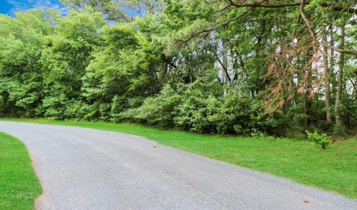 Photo #3 of Lot 43 NEPTUNE DR, GREENBACKVILLE, VA 11.0 acres