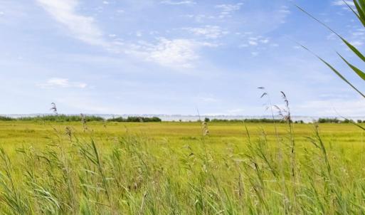 Photo #2 of Lot 43 NEPTUNE DR, GREENBACKVILLE, VA 11.0 acres