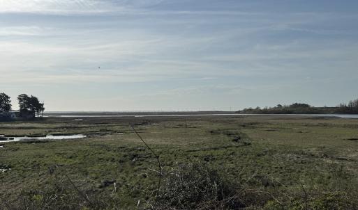 Photo #7 of Lot 113 WALLOPS DRIVE, HORNTOWN, VA 0.1 acres