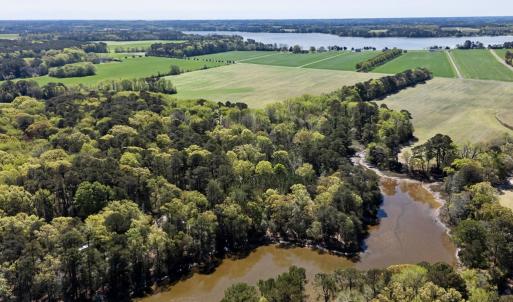 Photo #12 of Lot 1 ROYAL WOODS LN, BELLE HAVEN, VA 8.3 acres