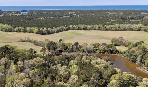 Photo #14 of Lot 1 ROYAL WOODS LN, BELLE HAVEN, VA 8.3 acres