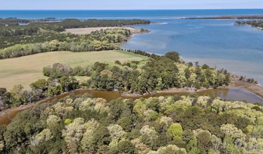 Photo #15 of Lot 1 ROYAL WOODS LN, BELLE HAVEN, VA 8.3 acres