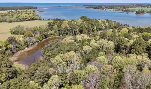 Photo #17 of Lot 1 ROYAL WOODS LN, BELLE HAVEN, VA 8.3 acres