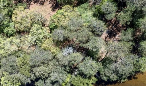 Photo #18 of Lot 1 ROYAL WOODS LN, BELLE HAVEN, VA 8.3 acres