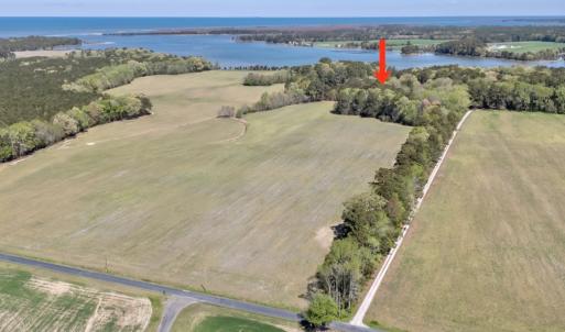 Photo #3 of Lot 1 ROYAL WOODS LN, BELLE HAVEN, VA 8.3 acres