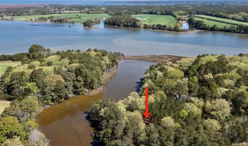 Photo #5 of Lot 1 ROYAL WOODS LN, BELLE HAVEN, VA 8.3 acres