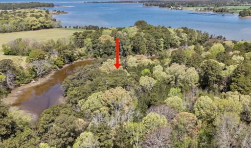 Photo #6 of Lot 1 ROYAL WOODS LN, BELLE HAVEN, VA 8.3 acres