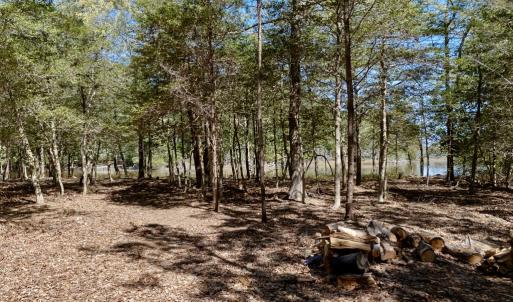 Photo #7 of Lot 1 ROYAL WOODS LN, BELLE HAVEN, VA 8.3 acres