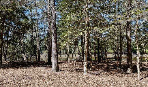 Photo #8 of Lot 1 ROYAL WOODS LN, BELLE HAVEN, VA 8.3 acres