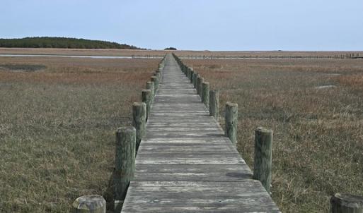 Photo #4 of HIGH ST, ACCOMAC, VA 3.1 acres