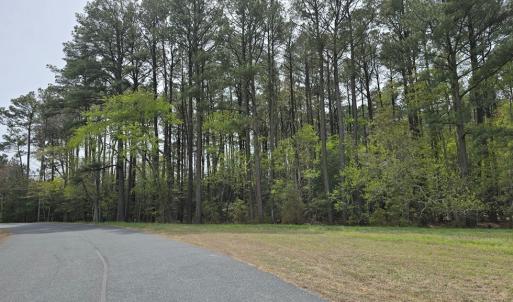 Photo #2 of HIGH ST, ACCOMAC, VA 8.4 acres