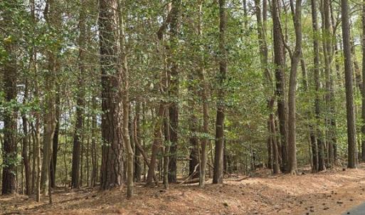 Photo #3 of HIGH ST, ACCOMAC, VA 8.4 acres